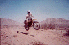 demarco2.gif (79024 bytes)